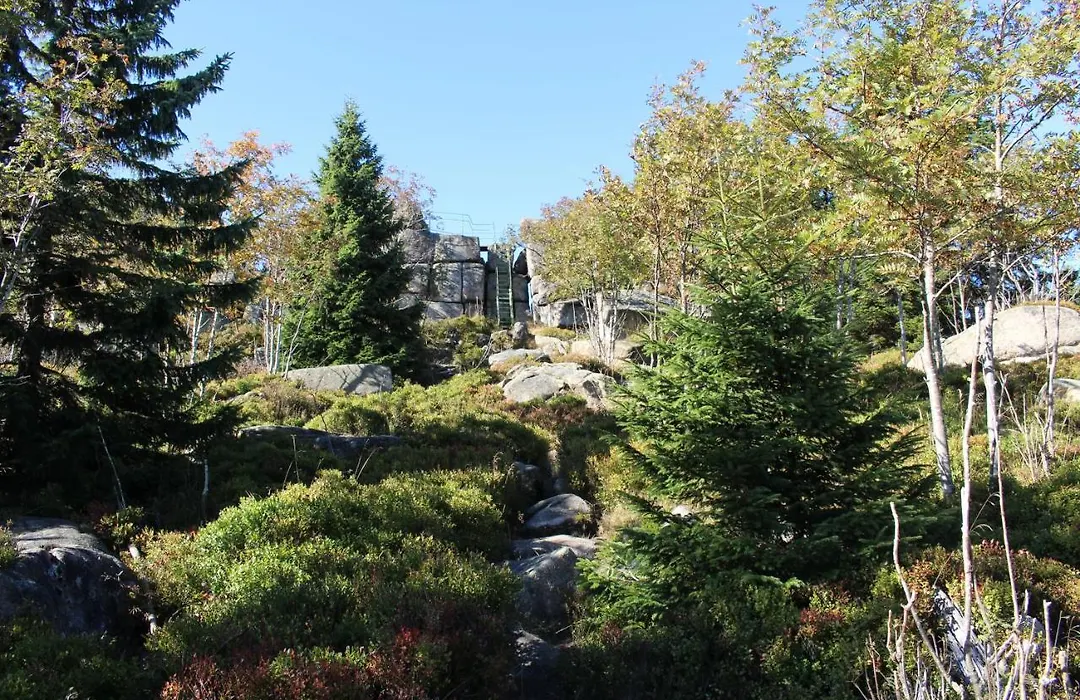 Hotel Brockenscheideck-1